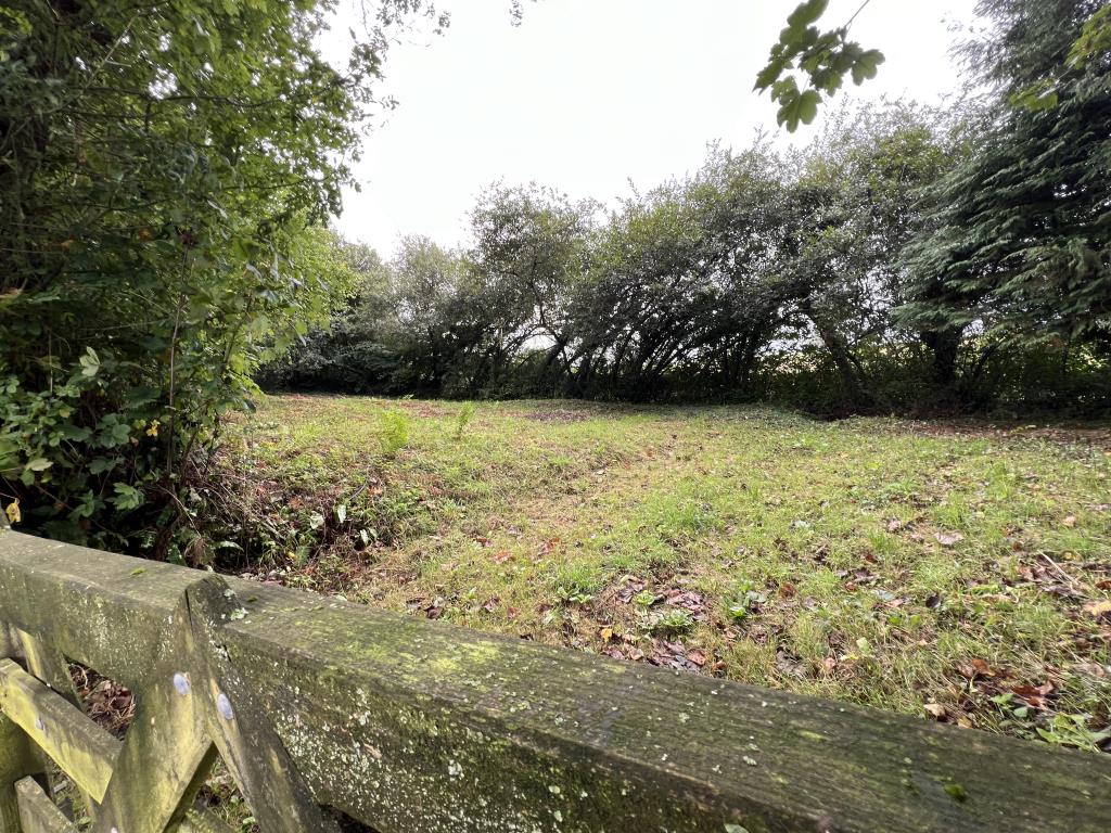 Lot: 115 - COTTAGE FOR REFURBISHMENT WITH LARGE GARDEN AND PARKING, PLUS SEPARATE PADDOCK - Paddock with double gate access